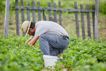 Aufzeichnung- und Dokumentationspflichten Landwirt bei ausländischen Arbeitnehmern